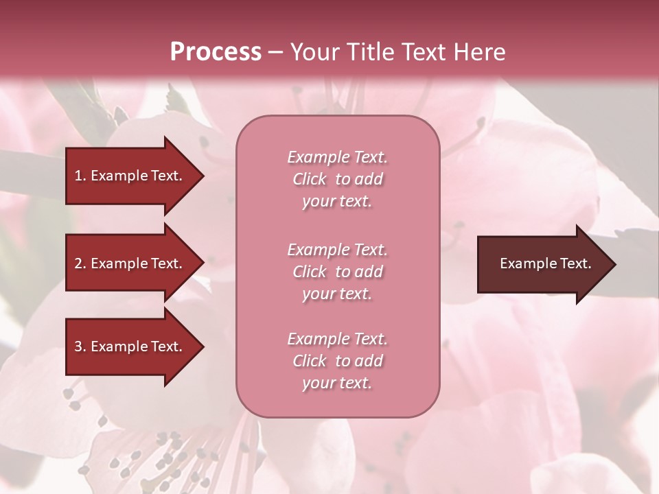 Peach Flowers And Reflection Over White PowerPoint Template