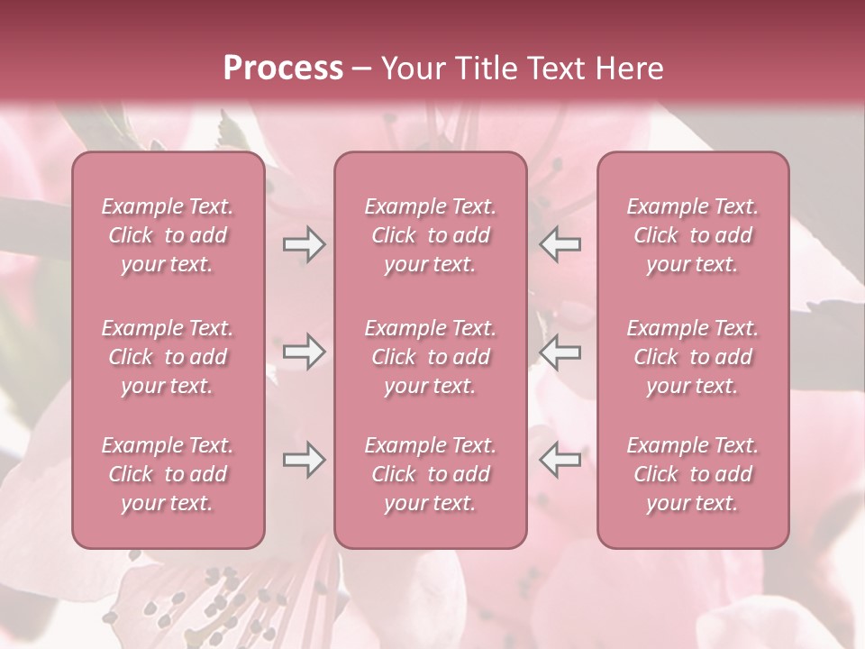 Peach Flowers And Reflection Over White PowerPoint Template