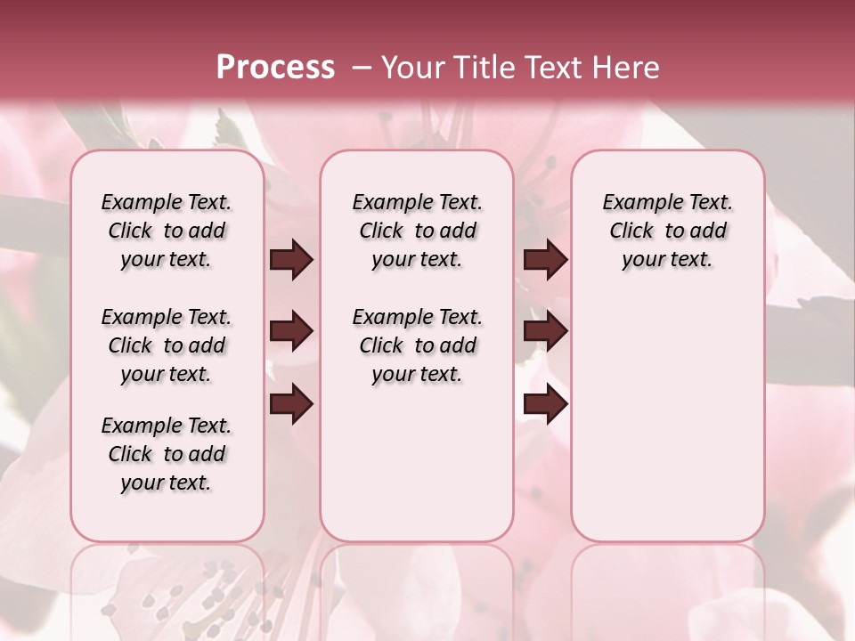 Peach Flowers And Reflection Over White PowerPoint Template