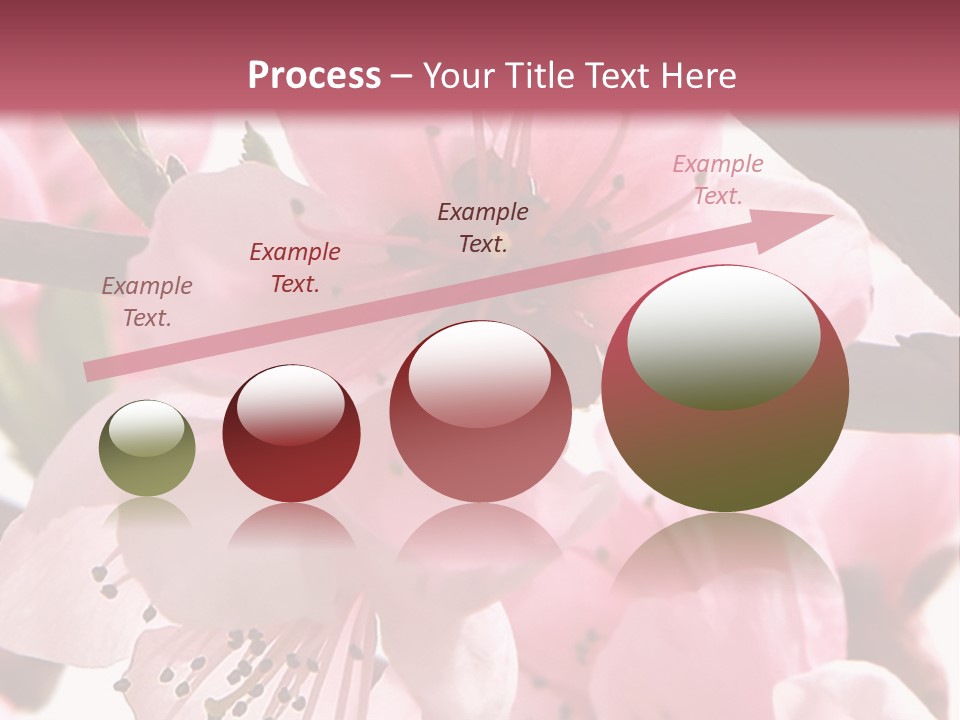 Peach Flowers And Reflection Over White PowerPoint Template