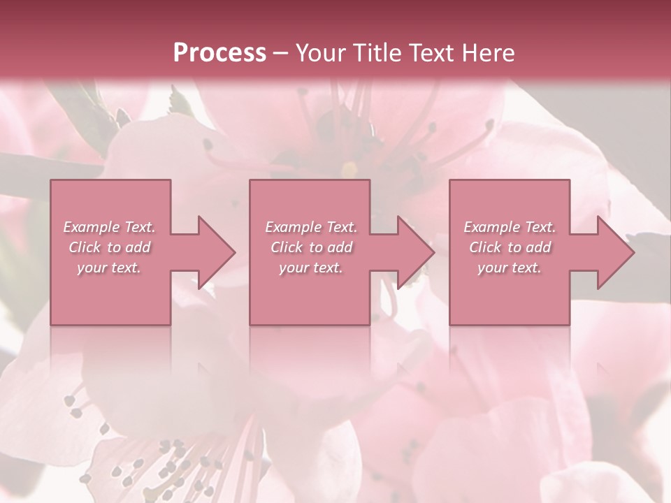 Peach Flowers And Reflection Over White PowerPoint Template