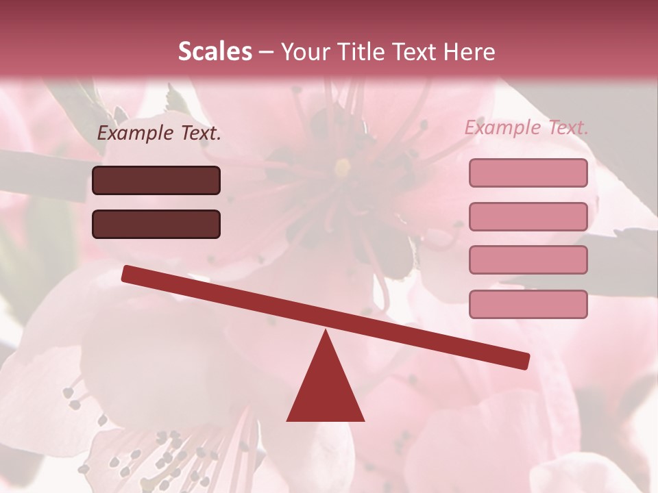 Peach Flowers And Reflection Over White PowerPoint Template