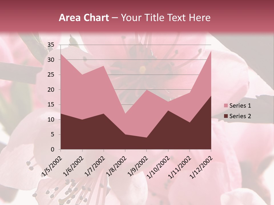 Peach Flowers And Reflection Over White PowerPoint Template