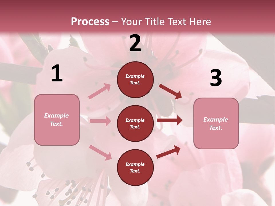 Peach Flowers And Reflection Over White PowerPoint Template