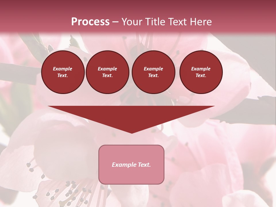 Peach Flowers And Reflection Over White PowerPoint Template