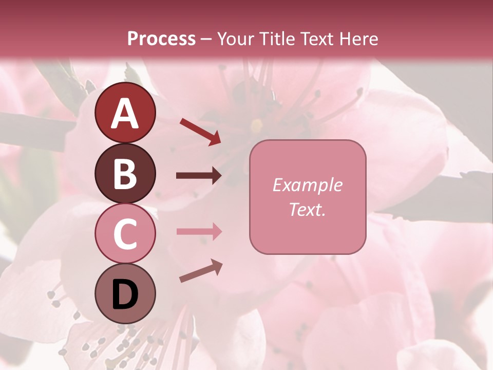 Peach Flowers And Reflection Over White PowerPoint Template