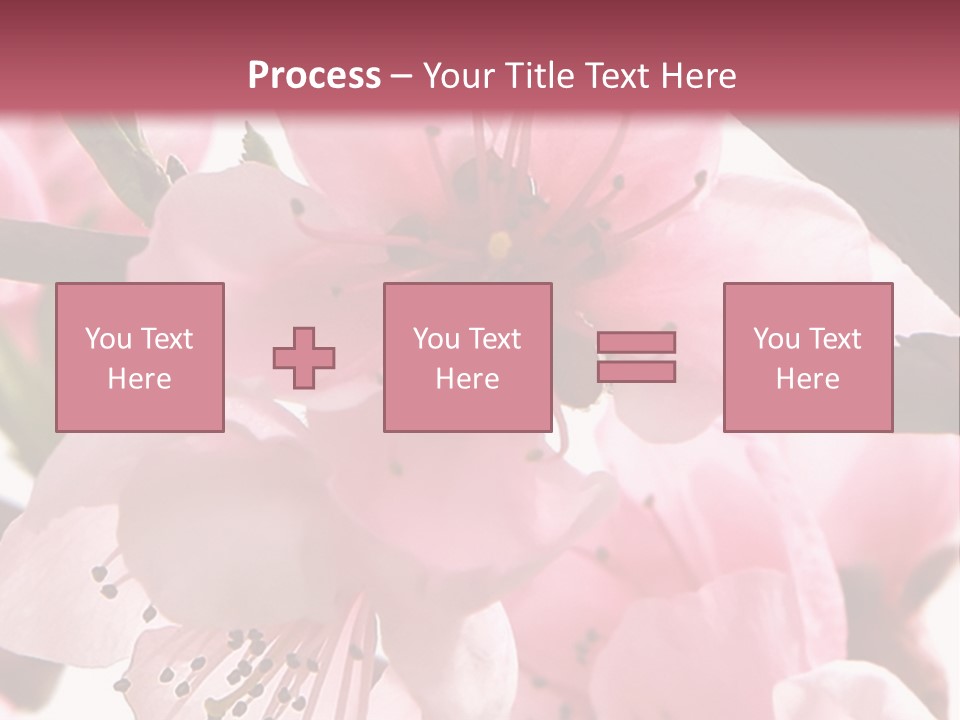 Peach Flowers And Reflection Over White PowerPoint Template