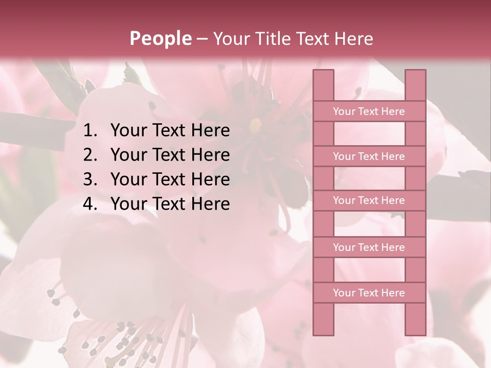 Peach Flowers And Reflection Over White PowerPoint Template