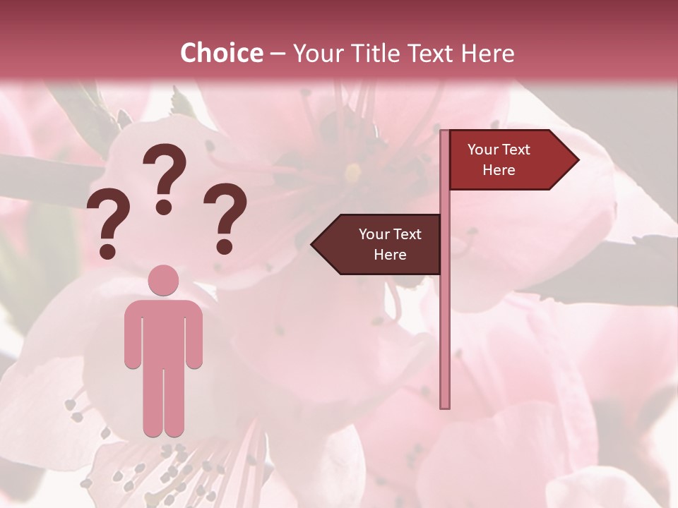 Peach Flowers And Reflection Over White PowerPoint Template