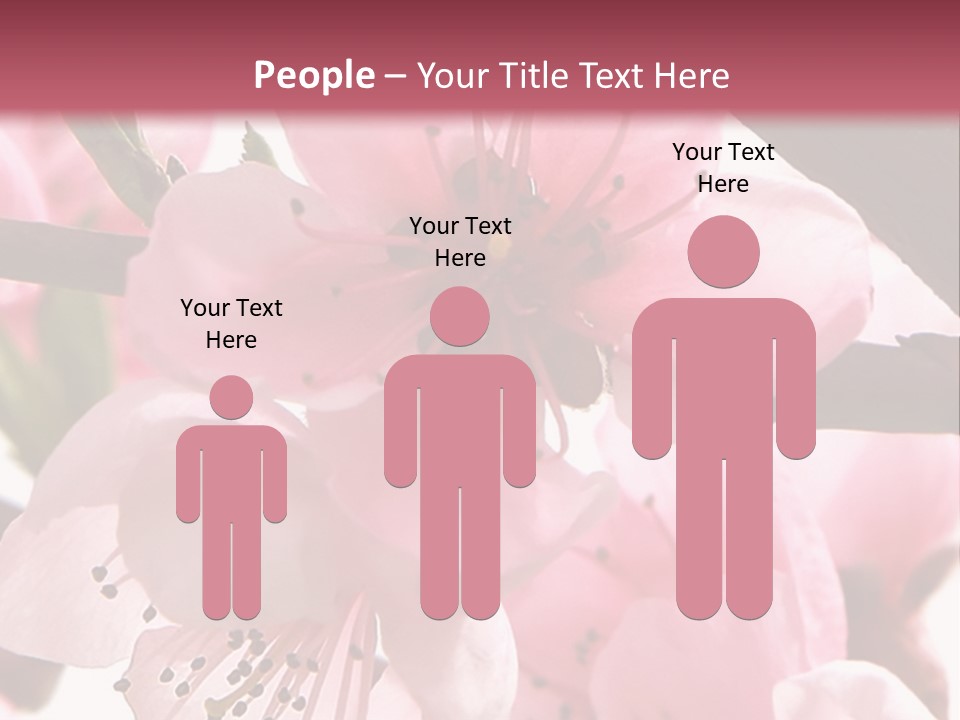 Peach Flowers And Reflection Over White PowerPoint Template