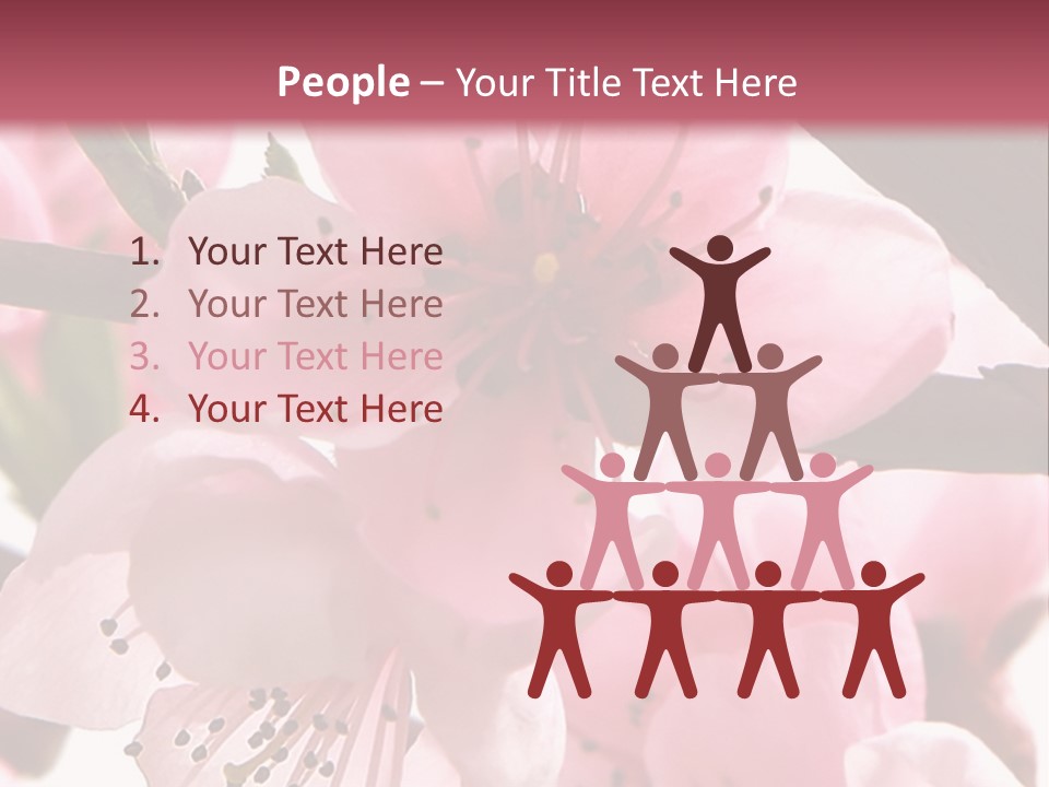 Peach Flowers And Reflection Over White PowerPoint Template