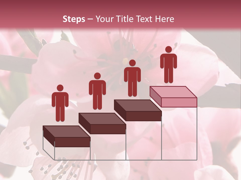 Peach Flowers And Reflection Over White PowerPoint Template
