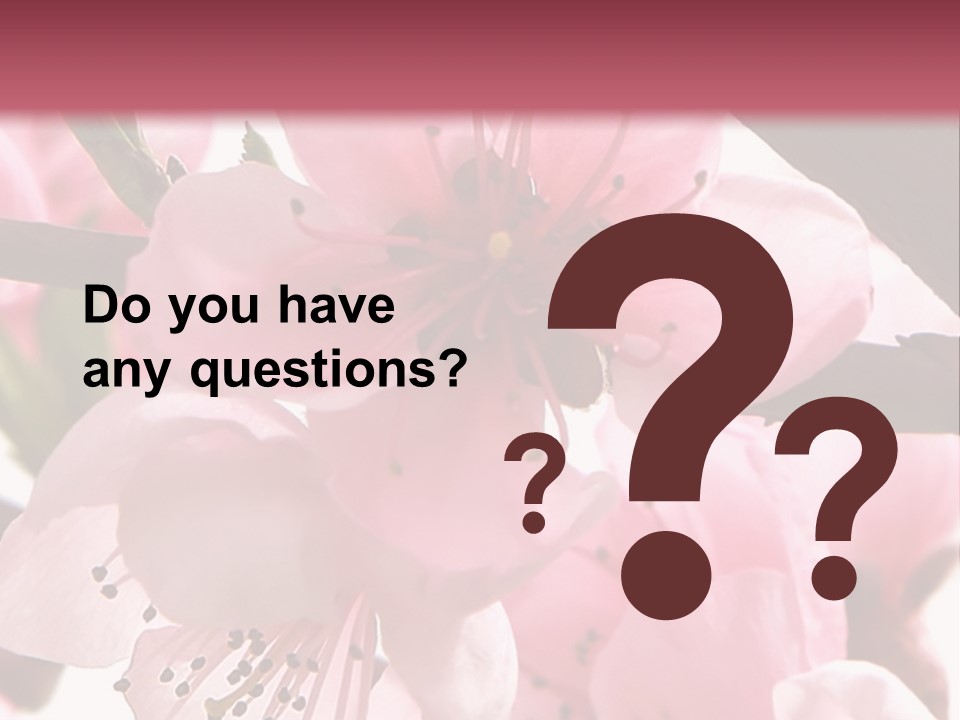 Peach Flowers And Reflection Over White PowerPoint Template