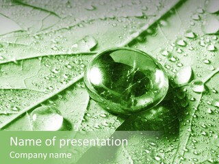 Drops Of Water PowerPoint Template