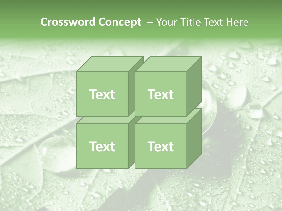 Drops Of Water PowerPoint Template