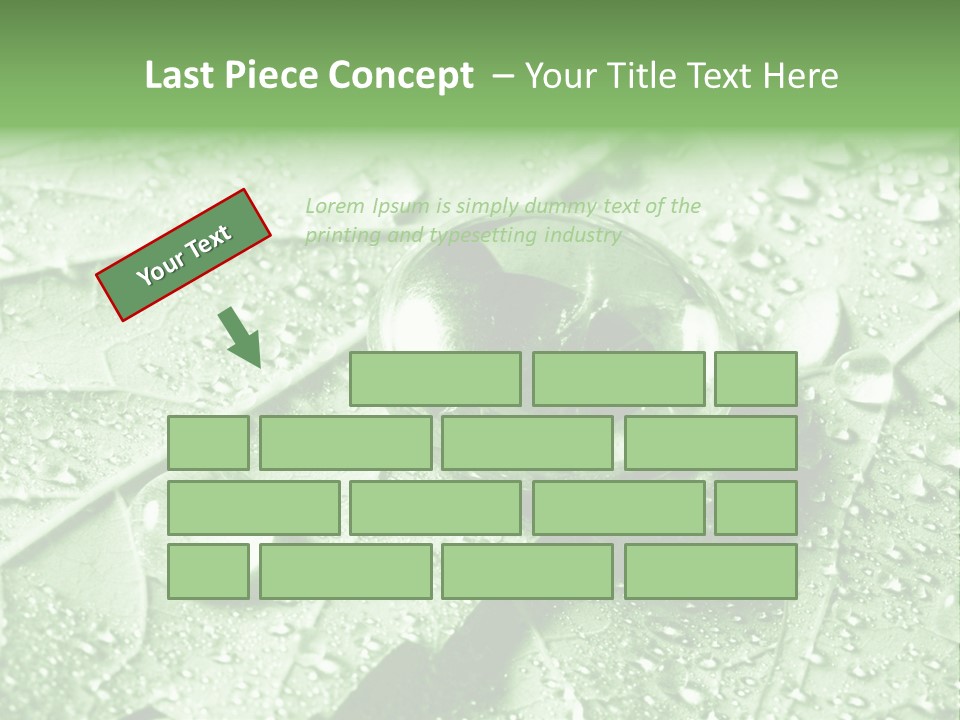 Drops Of Water PowerPoint Template