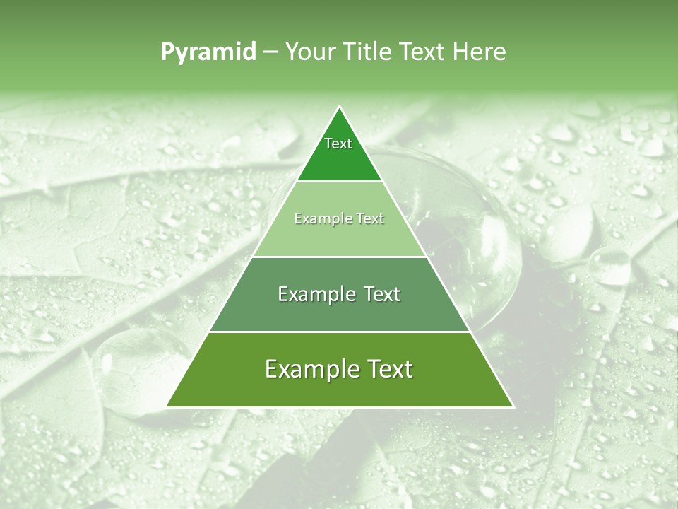 Drops Of Water PowerPoint Template