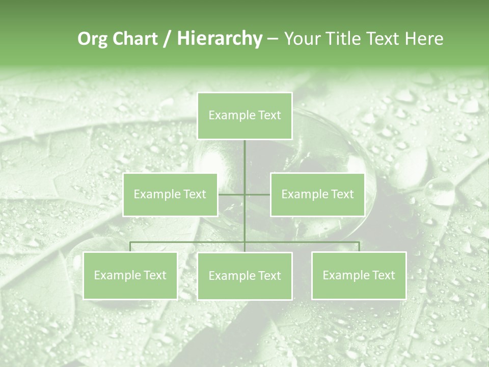 Drops Of Water PowerPoint Template
