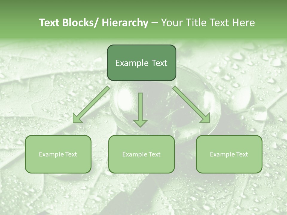 Drops Of Water PowerPoint Template