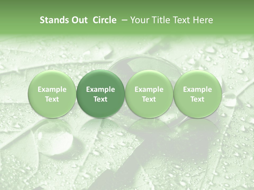 Drops Of Water PowerPoint Template