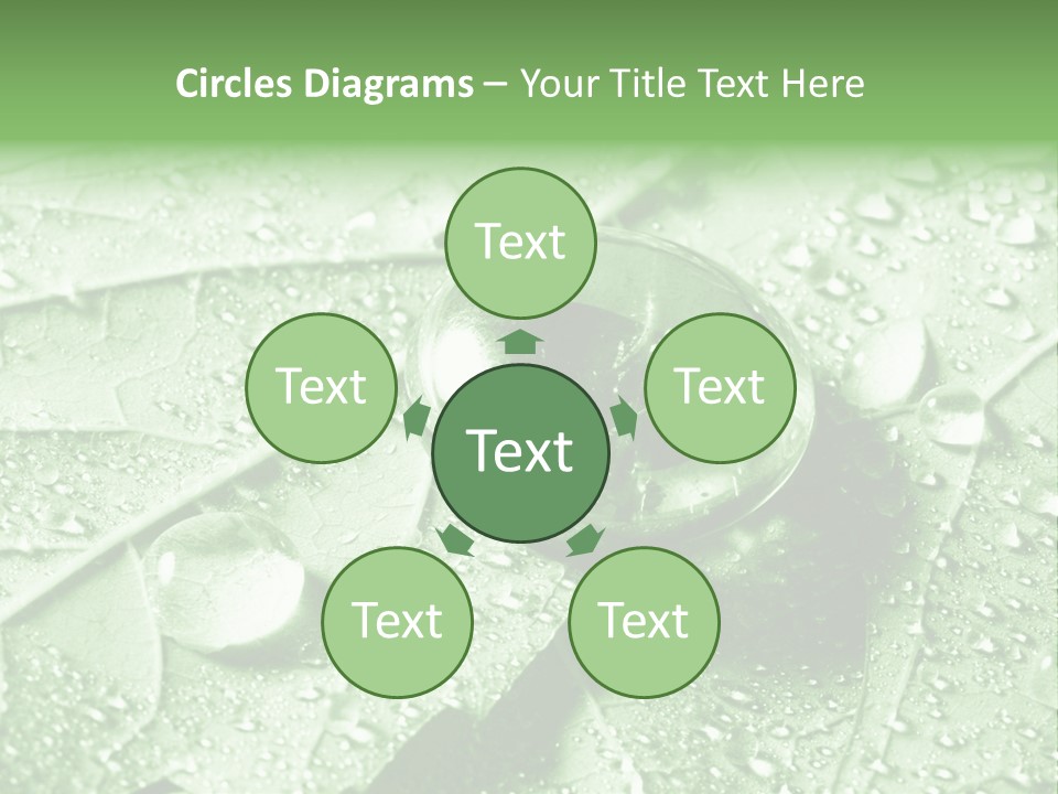 Drops Of Water PowerPoint Template