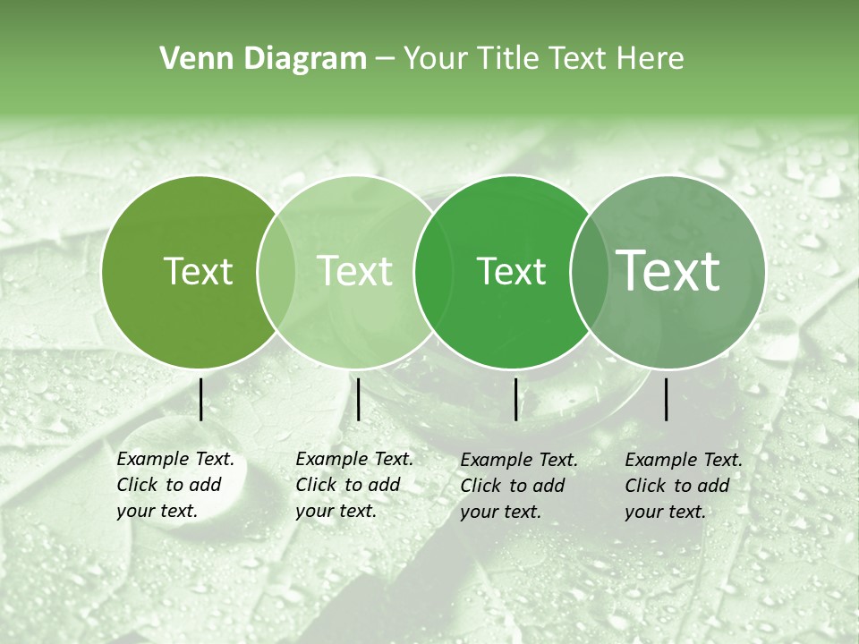 Drops Of Water PowerPoint Template