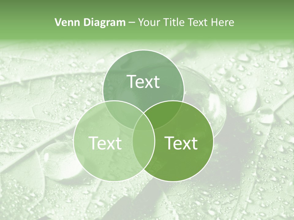 Drops Of Water PowerPoint Template