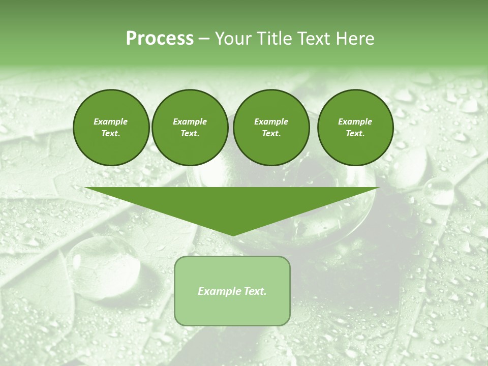 Drops Of Water PowerPoint Template