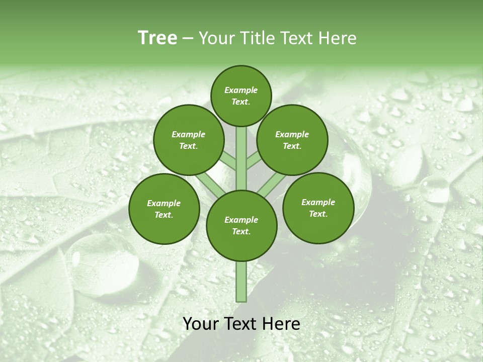 Drops Of Water PowerPoint Template