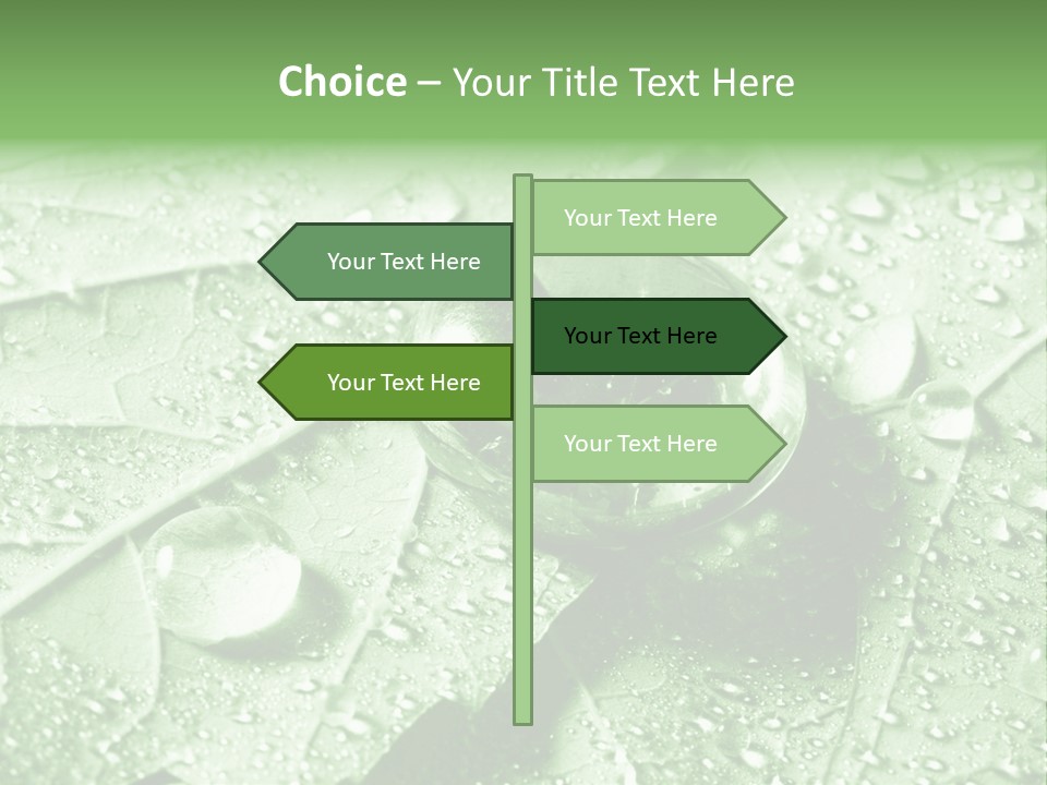 Drops Of Water PowerPoint Template