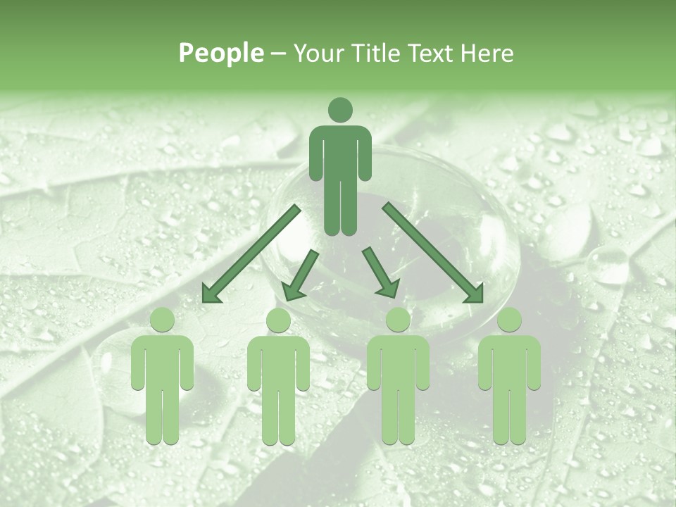 Drops Of Water PowerPoint Template