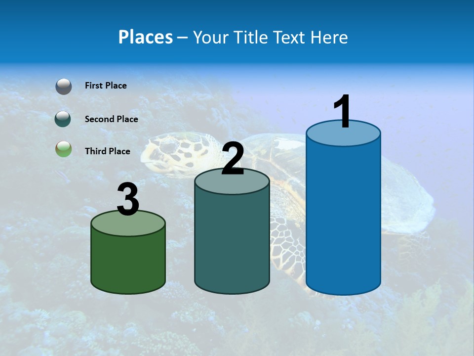 Hawkbill Sea Turtle PowerPoint Template