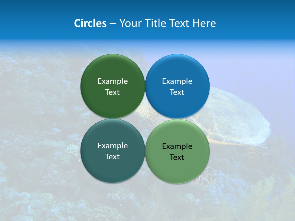 Hawkbill Sea Turtle PowerPoint Template