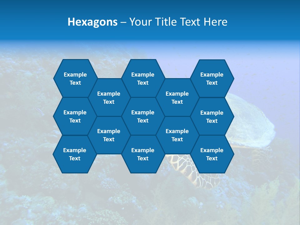 Hawkbill Sea Turtle PowerPoint Template