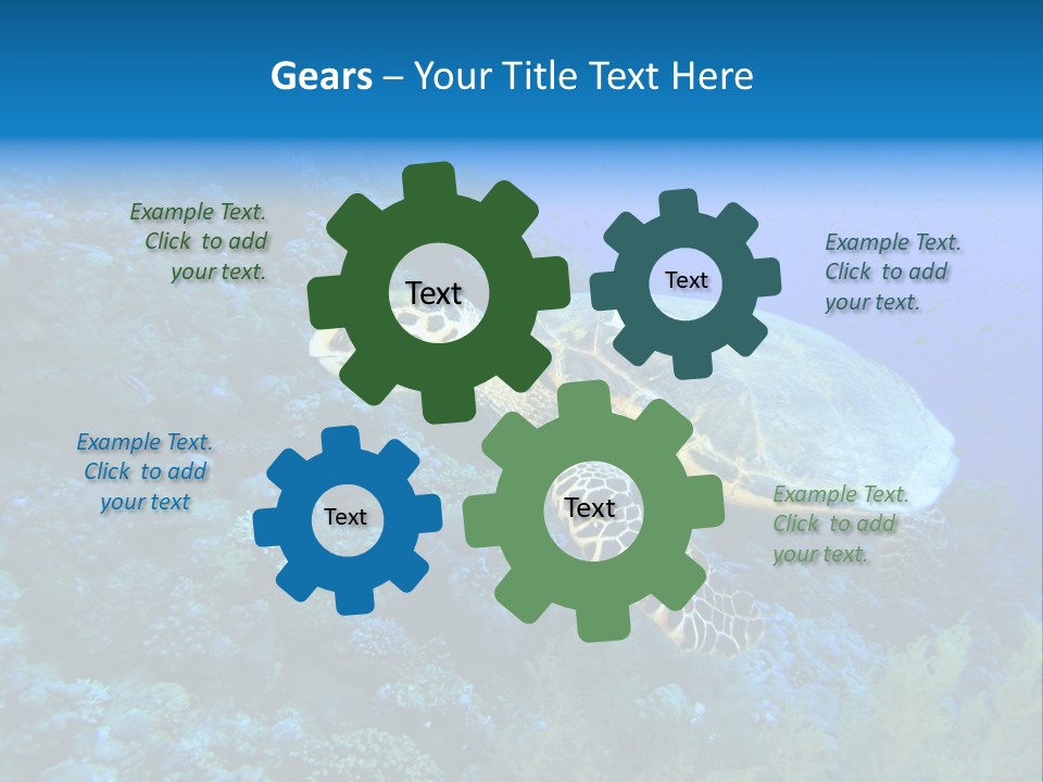Hawkbill Sea Turtle PowerPoint Template