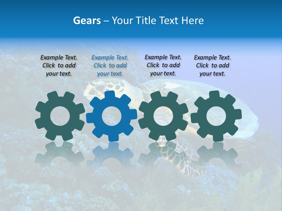 Hawkbill Sea Turtle PowerPoint Template