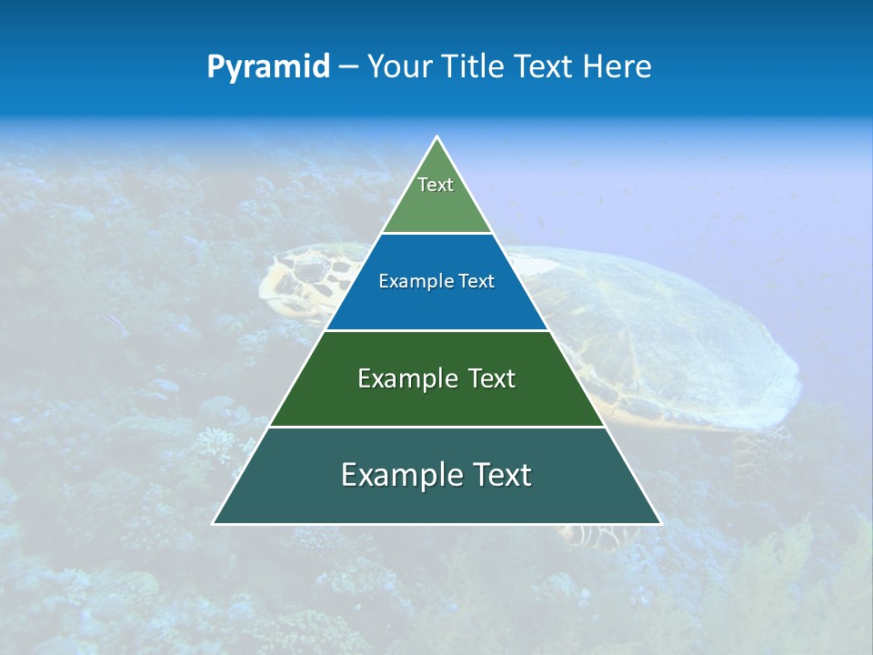 Hawkbill Sea Turtle PowerPoint Template
