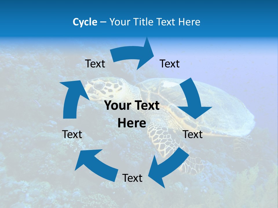 Hawkbill Sea Turtle PowerPoint Template