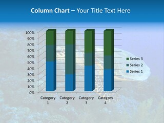 Hawkbill Sea Turtle PowerPoint Template