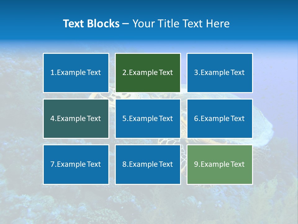 Hawkbill Sea Turtle PowerPoint Template