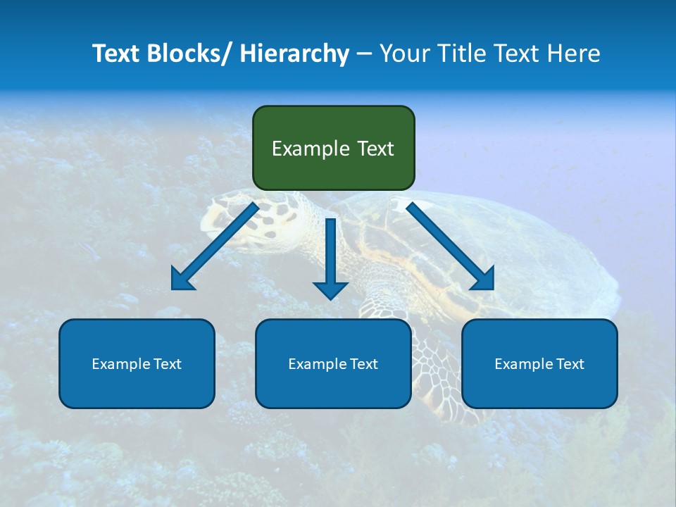 Hawkbill Sea Turtle PowerPoint Template