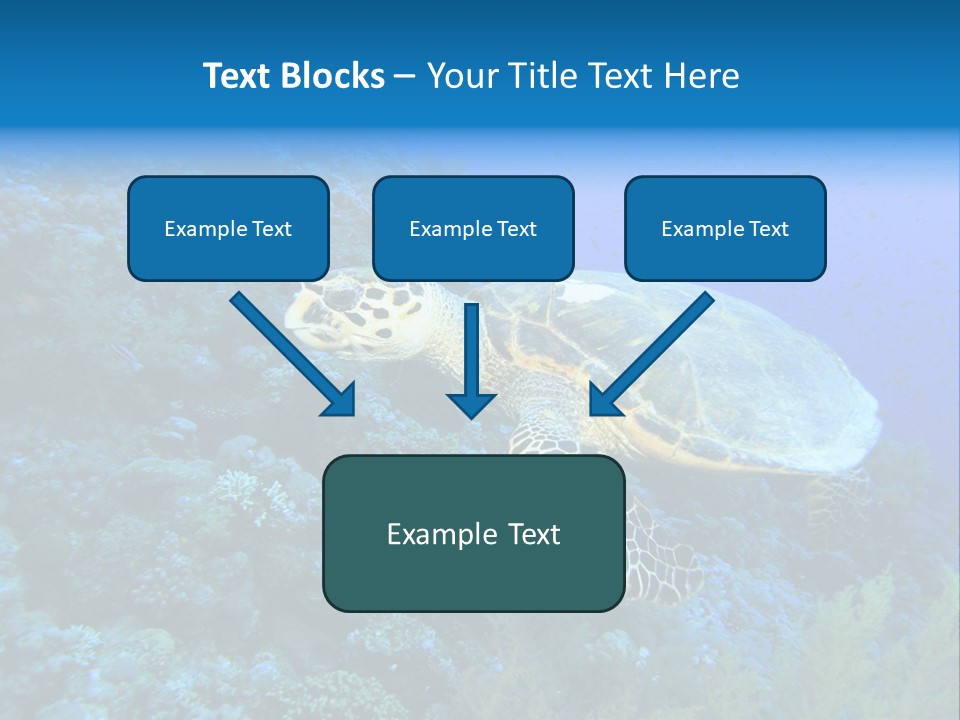 Hawkbill Sea Turtle PowerPoint Template