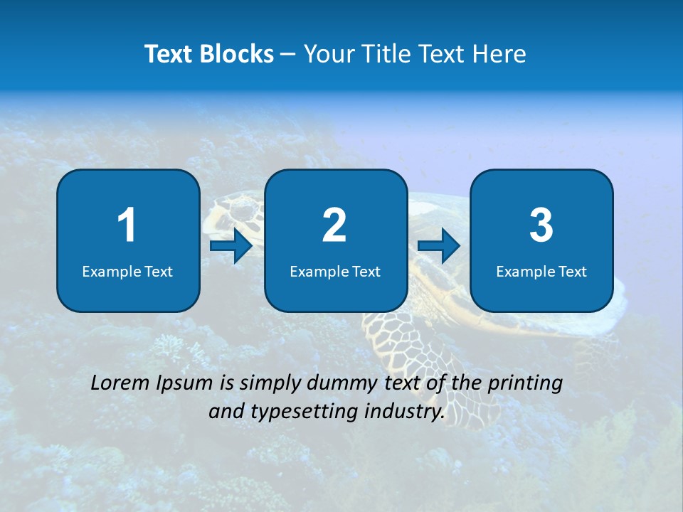 Hawkbill Sea Turtle PowerPoint Template