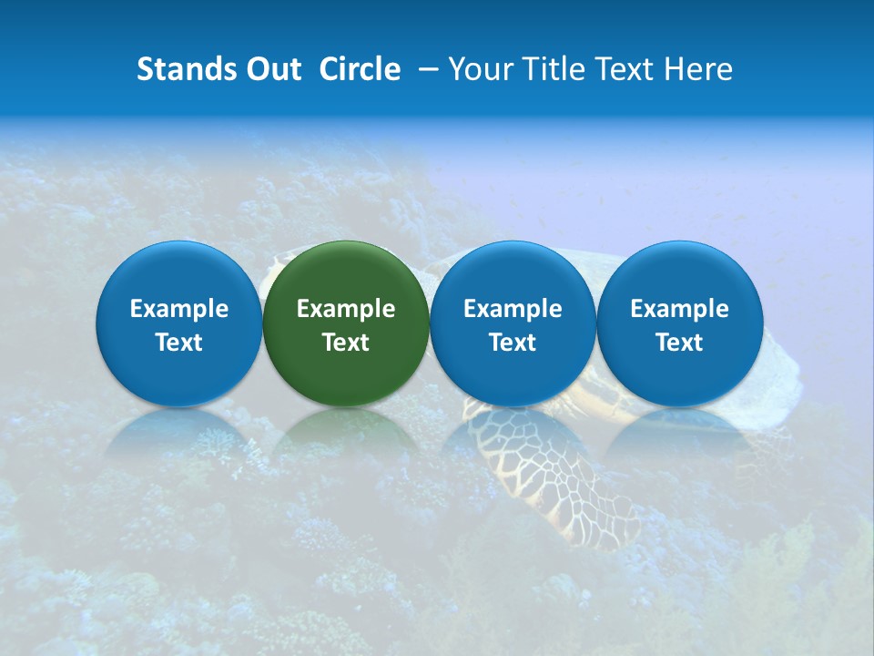 Hawkbill Sea Turtle PowerPoint Template