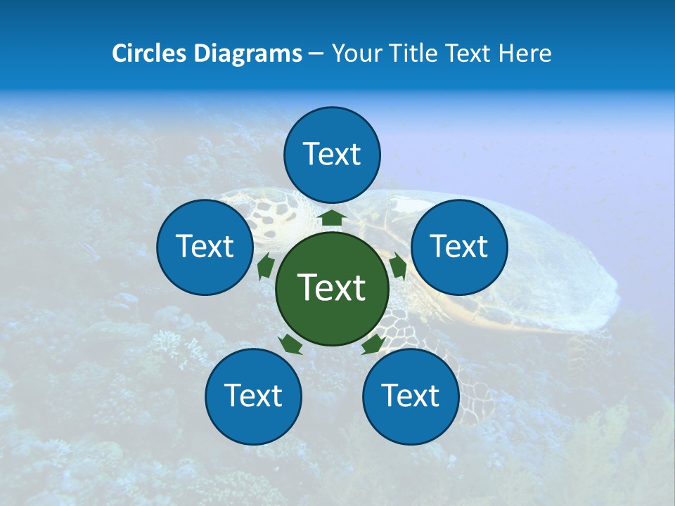 Hawkbill Sea Turtle PowerPoint Template