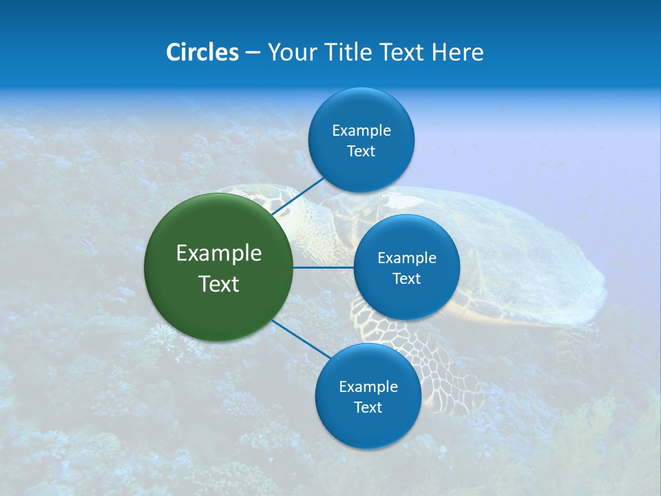 Hawkbill Sea Turtle PowerPoint Template