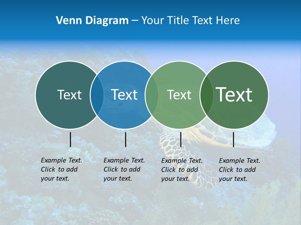 Hawkbill Sea Turtle PowerPoint Template