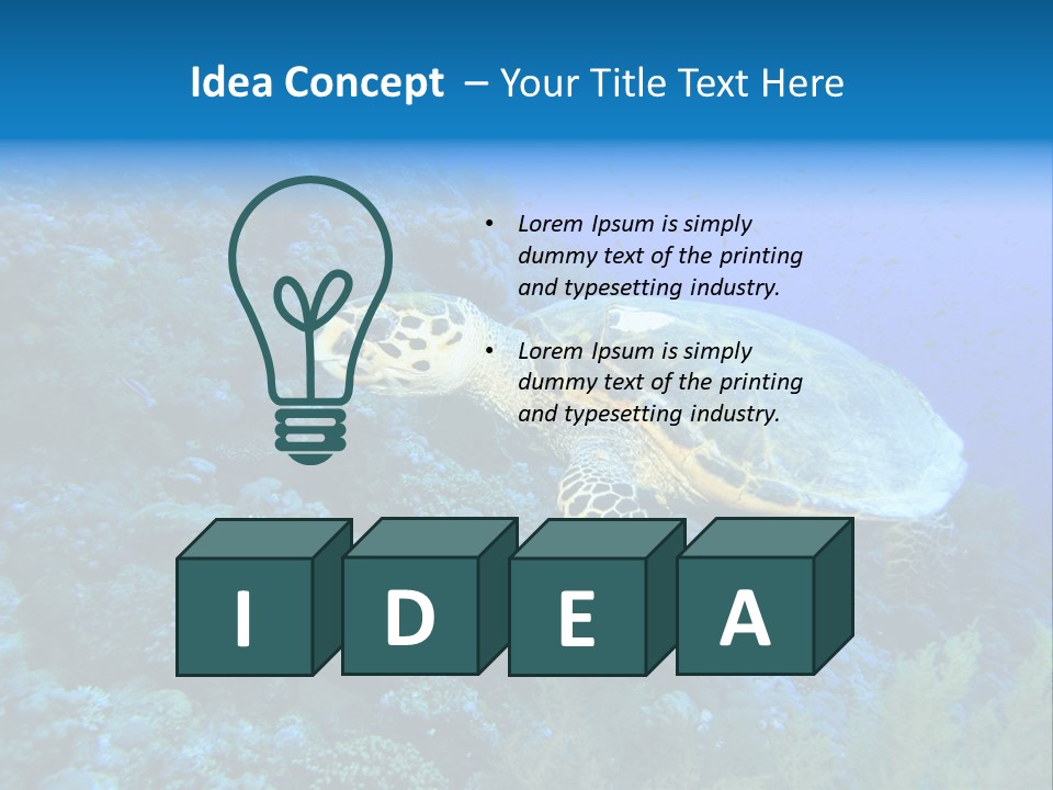 Hawkbill Sea Turtle PowerPoint Template