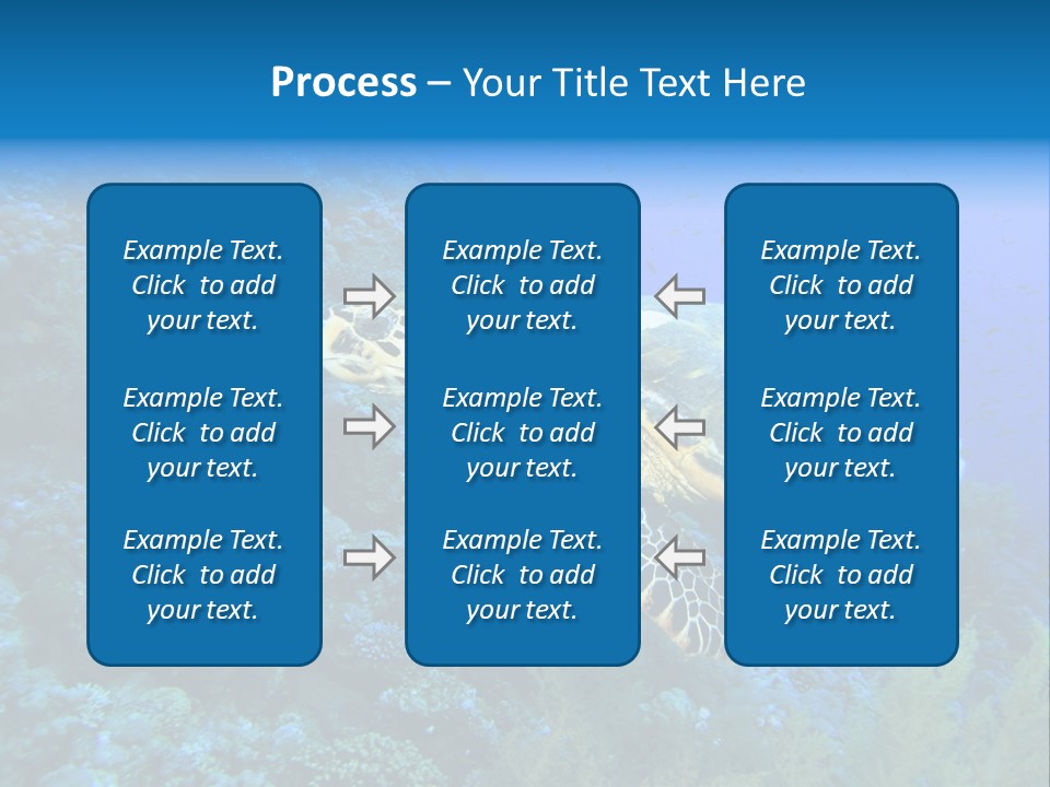 Hawkbill Sea Turtle PowerPoint Template