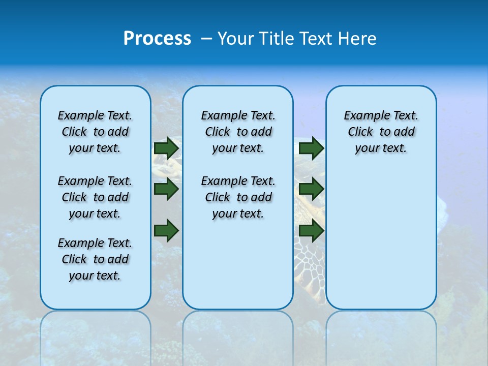 Hawkbill Sea Turtle PowerPoint Template